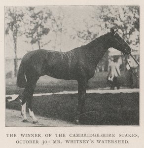 Le gagnant des Cambridgeshire Stakes, 30 octobre, Watershed de M. Whitney - English Photographer