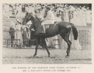 Le gagnant des Kempton Park Stakes, 11 octobre, Epsom Lad de M. T Kincaid (Gomez en selle)