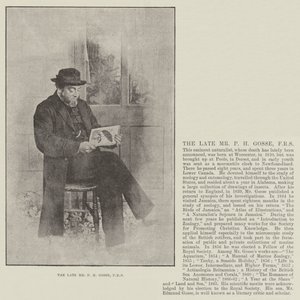 Feu M. P H Gosse, FRS - English Photographer