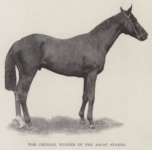 Tom Cringle, vainqueur des Ascot Stakes - English Photographer