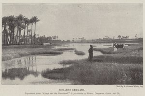 Vers Sakkara - English Photographer