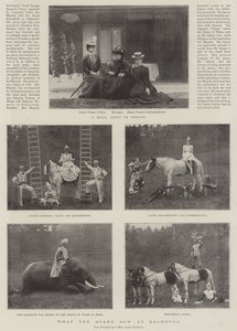 Ce que la reine a vu à Balmoral