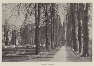 Cathédrale de Winchester - English Photographer