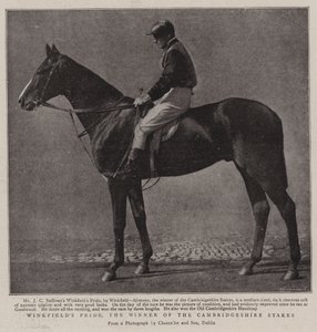 Winkfields Pride, le vainqueur des Cambridgeshire Stakes - English Photographer