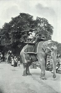Jardins zoologiques, enfants montant sur les éléphants