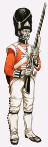 92e. Grenadier à Pied 1815 - English School