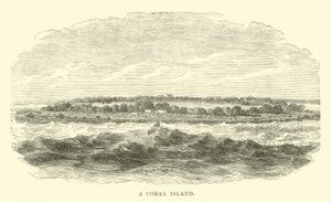 Une île de corail