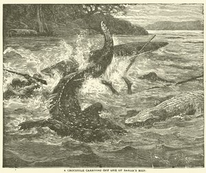 Un crocodile emportant un des hommes de Baker