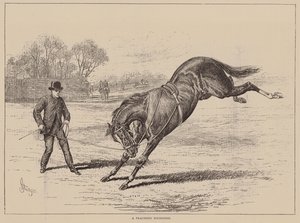 Un jeune homme fantasque (gravure) - English School