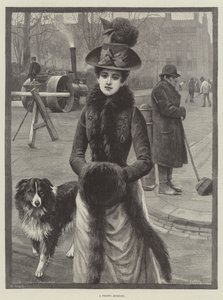 Un matin givré