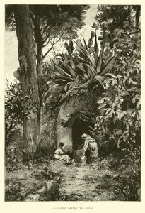 Une source de jardin à Capri