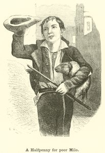 Un demi-penny pour le pauvre Milo - English School
