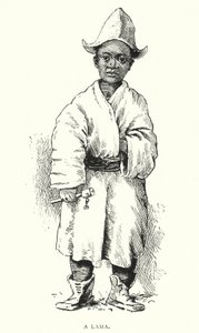 Un Lama (gravure)