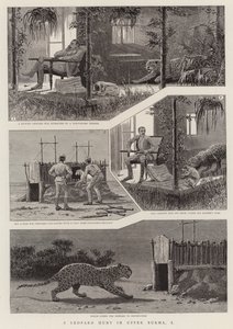 Une chasse au léopard en Haute-Birmanie, I - English School