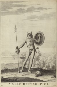 Un Pict britannique mâle
