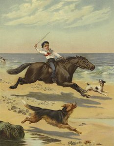 Galop du matin - English School
