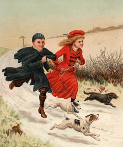 Une course avec les chiens - English School