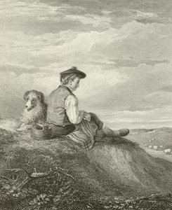 Un berger écossais