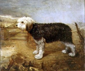 Un Chien de Berger, Champs au-delà - English School