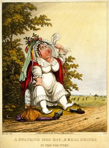 Une journée de chien et un vrai fondu à la campagne, gravé par George Hunt, publié par Thomas McLean, Londres, 1827