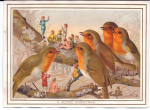 Carte de Noël victorienne représentant cinq rouges-gorges perchés sur une branche écoutant un groupe de fées, vers 1880