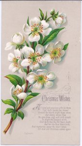 Carte de Noël victorienne avec un bouquet de roses de Noël et un vers, vers 1880