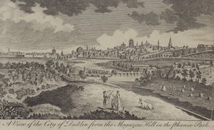Vue de la ville de Dublin depuis Magazine Hill dans le Phoenix Park - English School