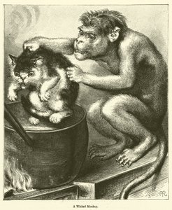 Un singe méchant