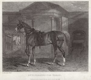 Un cheval de fiacre célèbre - English School