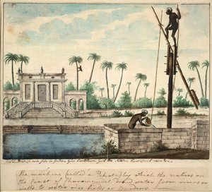 Un jardin colonial montrant l