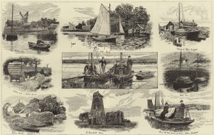 Une croisière sur les Norfolk Broads