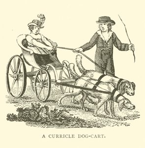 Un dog-cart à deux roues - English School