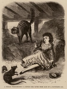 Une Whittington féminine, une petite fille sauvée des rats par un chat favori
