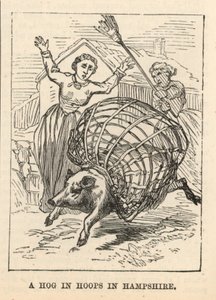 Un cochon en cerceaux dans le Hampshire - English School