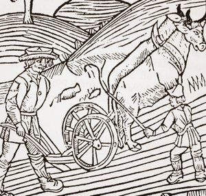 Une paire de bœufs attelés à une charrue, page de titre du Boke of Husbandry de John Fitzherbert, première publication 1523 - English School