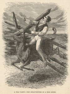 Une fête de cerf, les mésaventures d