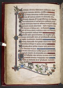 Garçon sur poney avec faucon chassant le canard, c.1284-1316 (vélin) - English School