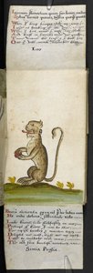 Livre de chasse - English School