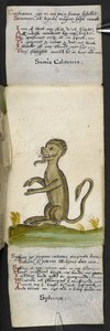 Livre de chasse