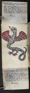 Livre de chasse - English School