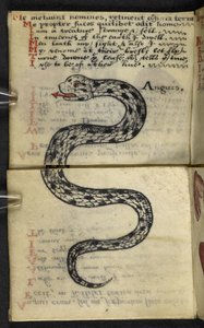 Add MS 57312 f.4 Livre de chasse