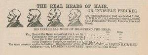 Publicité pour des perruques - English School