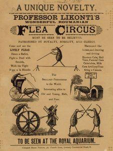 Publicité pour le Cirque des Puces Roumaines du Professeur Likontis
