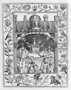 Laboratoire alchimique montrant diverses formes de fourneaux et de vaisseaux, tiré du Theatrum Chemicum Britannicum d