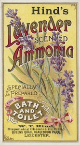 Ammoniaque, Parfum Lavande
