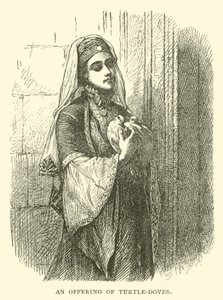 Une offrande de tourterelles - English School