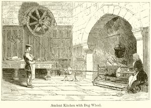 Cuisine ancienne avec roue pour chien - English School