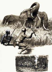 Peuples anciens du monde : petits trappeurs de la jungle - English School