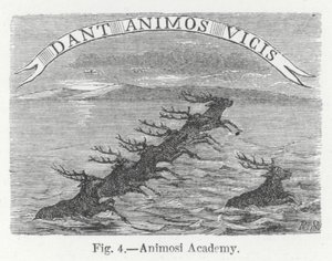 Académie Animosi (gravure) - English School