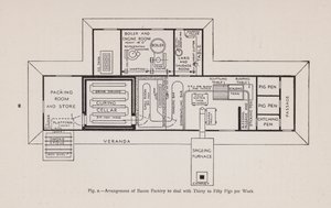 Organisation d